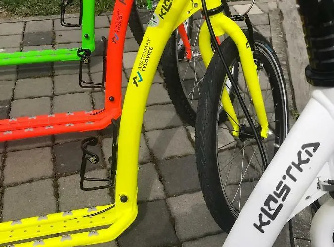 Tylovice Daire Rožnov pod Radhoštěm